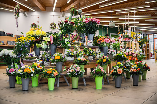 Große Auswahl an farbenfrohen Schnittblumen in Eimern im Verkaufsbereich des GrünHauses.